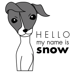 Italiangreyhound snow