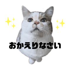 rara-stamp-1