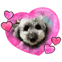 yuka_20230111202945