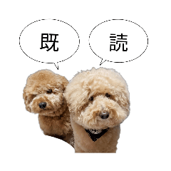 BUNTA._20230111173645