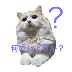 RYUKI_20230111204847