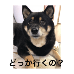 kohhy mammy_20230111180804