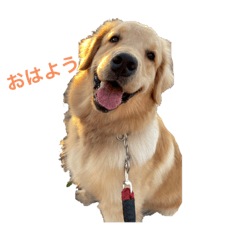 Mizuki_20230111235655