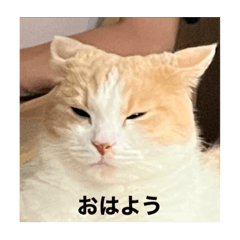 yuto_20230111191555