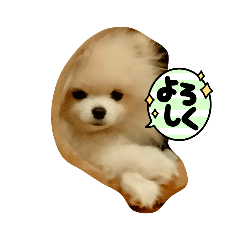 omochi_20230112130705