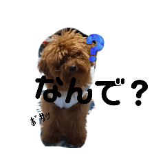 ryuki_20230111221111