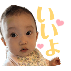 hikari_20230112114538