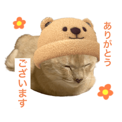 Suzu_20230111214134