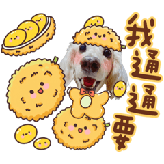 臘腸狗豆豆47♡可可愛愛水果系列♡