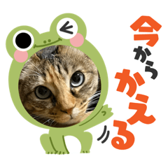 yuka_20230112133310