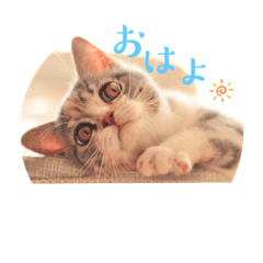 Michiko_20230113082921