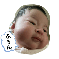 ruru_20230113002738
