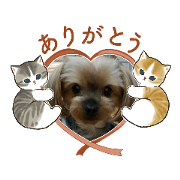 AKIE.MIYASHITA_20230112175841