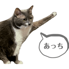 YUKA_20230112174914