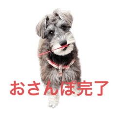 aoi_20230112184407