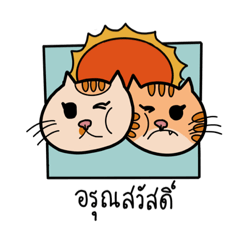 Polkadot vs pumpkin