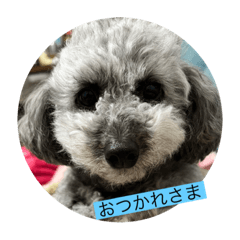 yuka_20230112200521