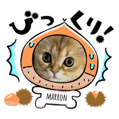 Omochi_20230112181019