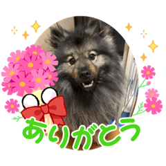 saori_20230112220847