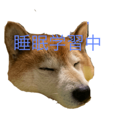 yuka_20230112223844