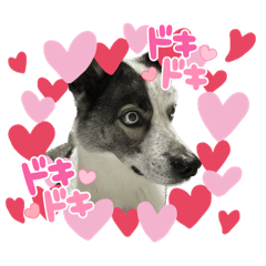 momoko_20230113115654