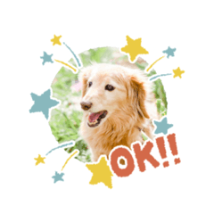 sayuri_20230113110533