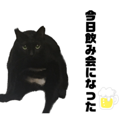 Arisa_20230113122016