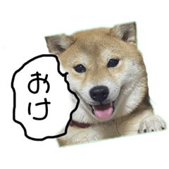 suzu_20230113123213