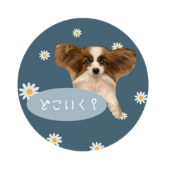miyuu_20230114093521