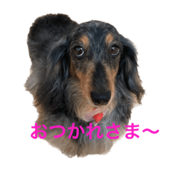TOMMY_FAMILY