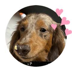 SHIHO_20230113185747