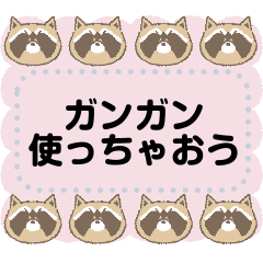 pretty raccoon message sticker 2