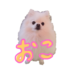 vernis_20230113150422