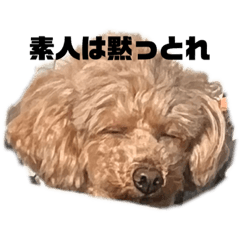 Kii_20230113192334