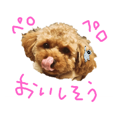 NOZOMI_20230114054548