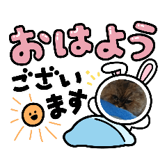 melon_20230113194247