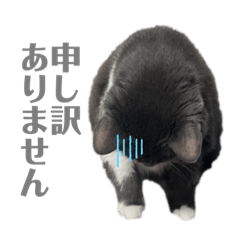YUKA_20230113214740