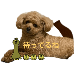 hana_20230113230049