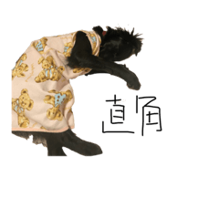 chisa_20230113235749