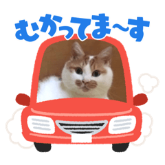 kana_20230114112937