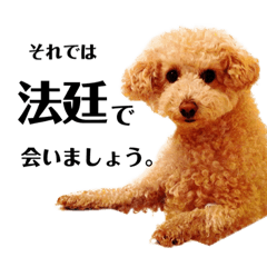 saori_20230114132317