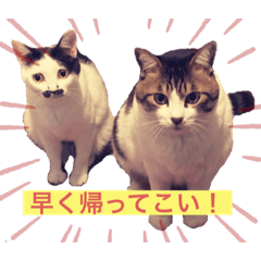 ASAKO_20230113212051