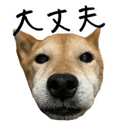 Sayu Kubota pet dog Okaka sticker