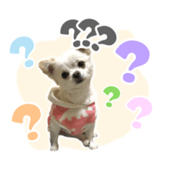 sanganichi_20230114140602