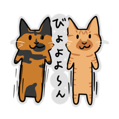 イガ＆ハットリ