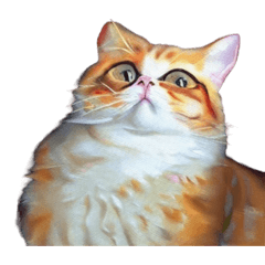 David_cat collective 3