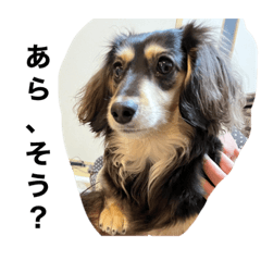 Yukari_20230114151139