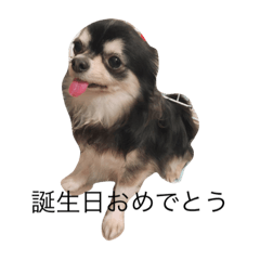 miyuu_20230114154006