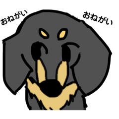 SAYURI_20230114163650