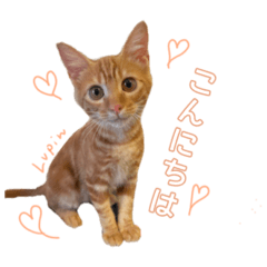 Yuka_20230115095913